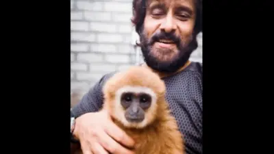 Vikram gibbon video: one of three died, probe underway
