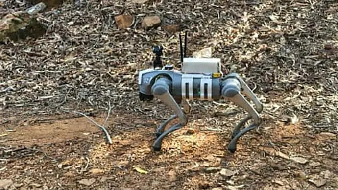 TTD tests AI robotic dog for wildlife monitoring on Tirumala paths