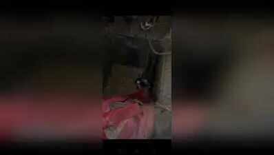 Cow rescued after 10-foot fall into open BWSSB chamber in Bengaluru
