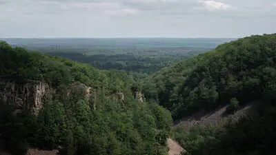 Sweden plateau restored from grazing to vast protected forest