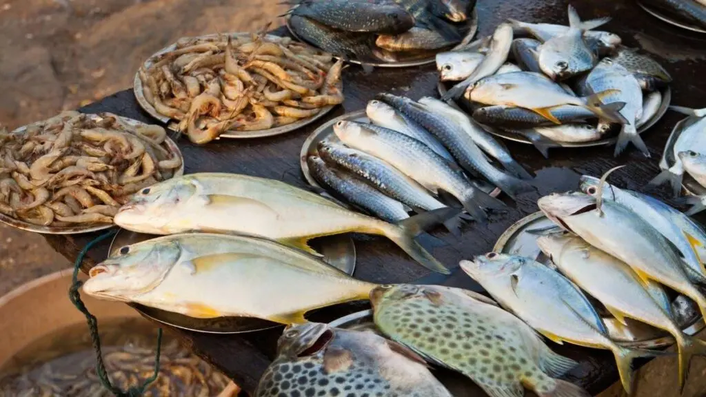 Kerala unveils draft fisheries plan for sustainable seafood