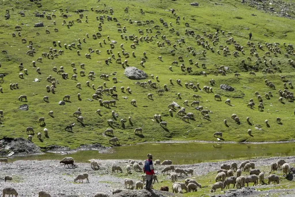 India needs shared digital infrastructure for nature