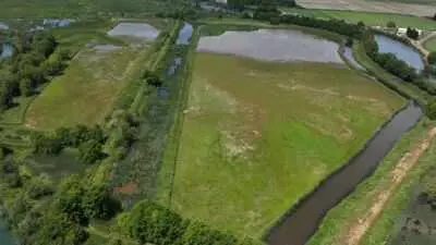 Washington Restores Estuaries and Builds Islands for Young Salmon
