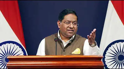 India slams US religious body as biased over RSS sanctions call