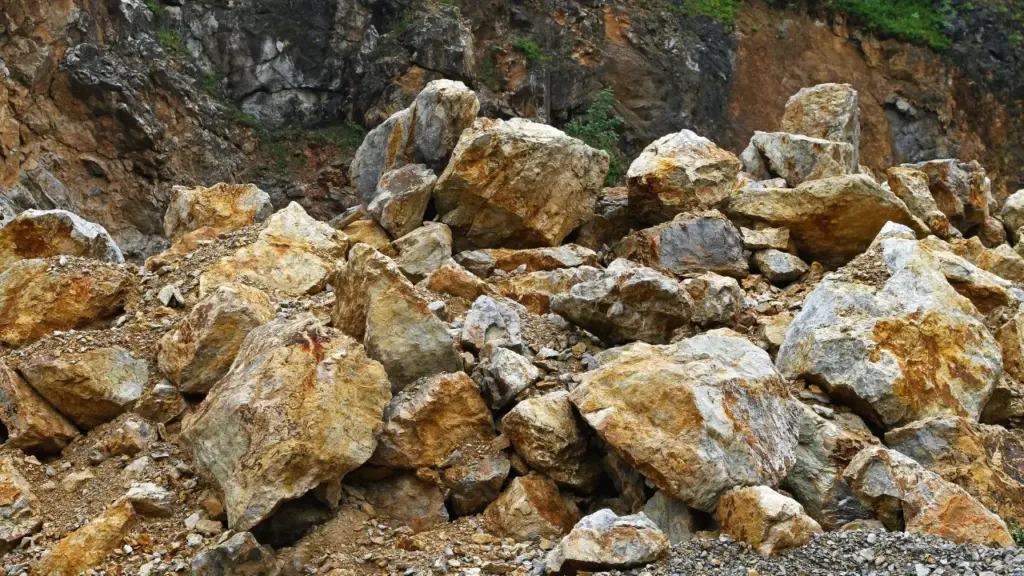 NGT questions Balasore quarry over excess mining, seeks report