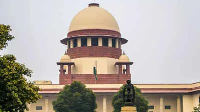 SC orders Karnataka to set up UAPA court, caps cases at 12-15