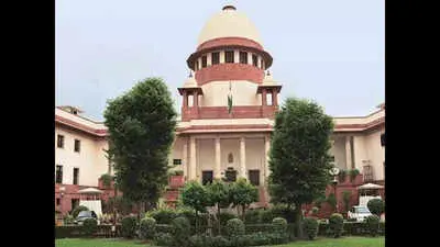 Supreme Court told 14 of 28 chief ministers face serious criminal cases