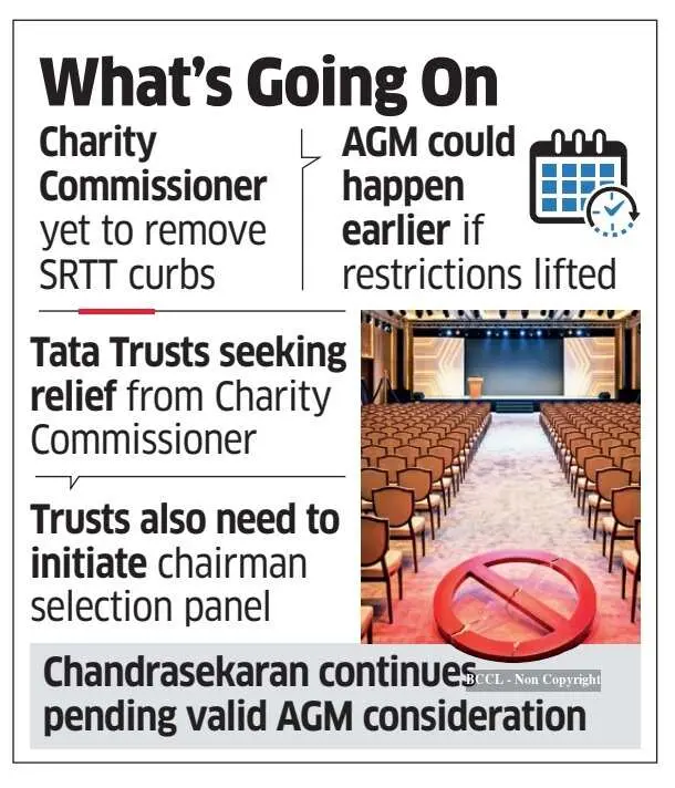 Tata Sons gets 3-month AGM extension after quorum failure