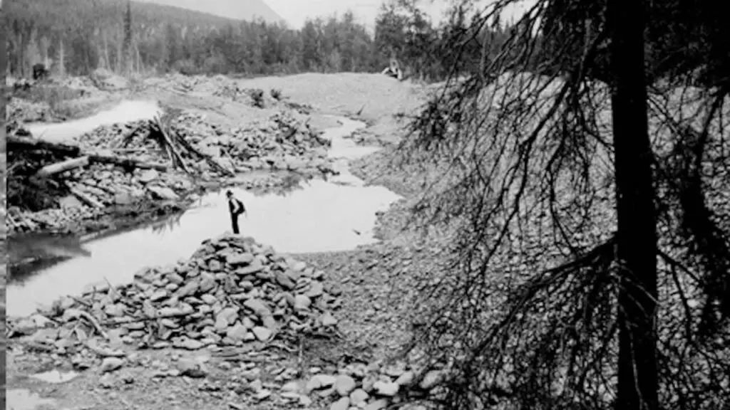 Alaska creek restored after gold mining; salmon runs rise six-fold