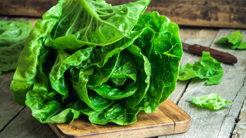 Gene gun makes lettuce, tobacco produce meat-like myoglobin