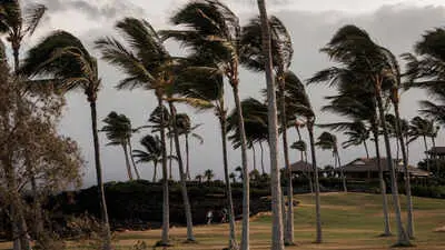 Hurricane Lala hits Hawaii’s Big Island, 40,000 without power