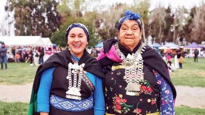 Chile land restitution did not boost native forest cover