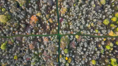 English farmer's abandoned wheat farm becomes nature reserve after £1.5m crowdfunding