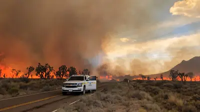 1.3 million Joshua trees lost in California's 2020 Dome Fire
