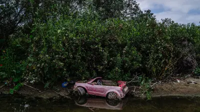 California turned sewage marshes into 307-acre bird sanctuary
