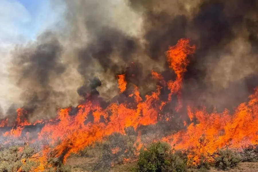 Skycrane helicopter crashes in Utah, two aboard; Oregon blaze kills bulldozer operator