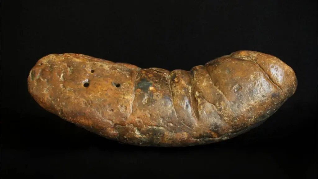 Animal poop may have triggered Earth's Cambrian explosion