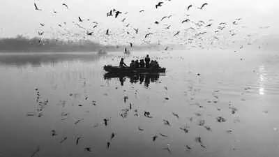 CISF replicates Dhanbad green experiment on Yamuna floodplain
