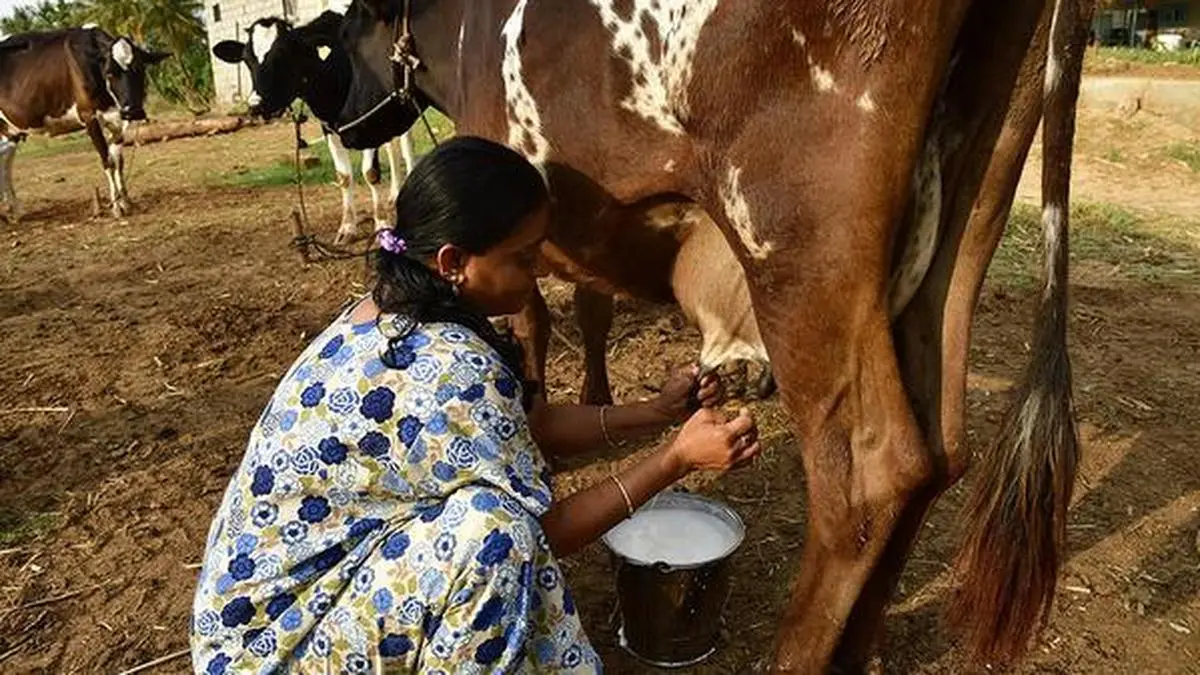 India's dairy sector must shift from volume to value, CEO argues