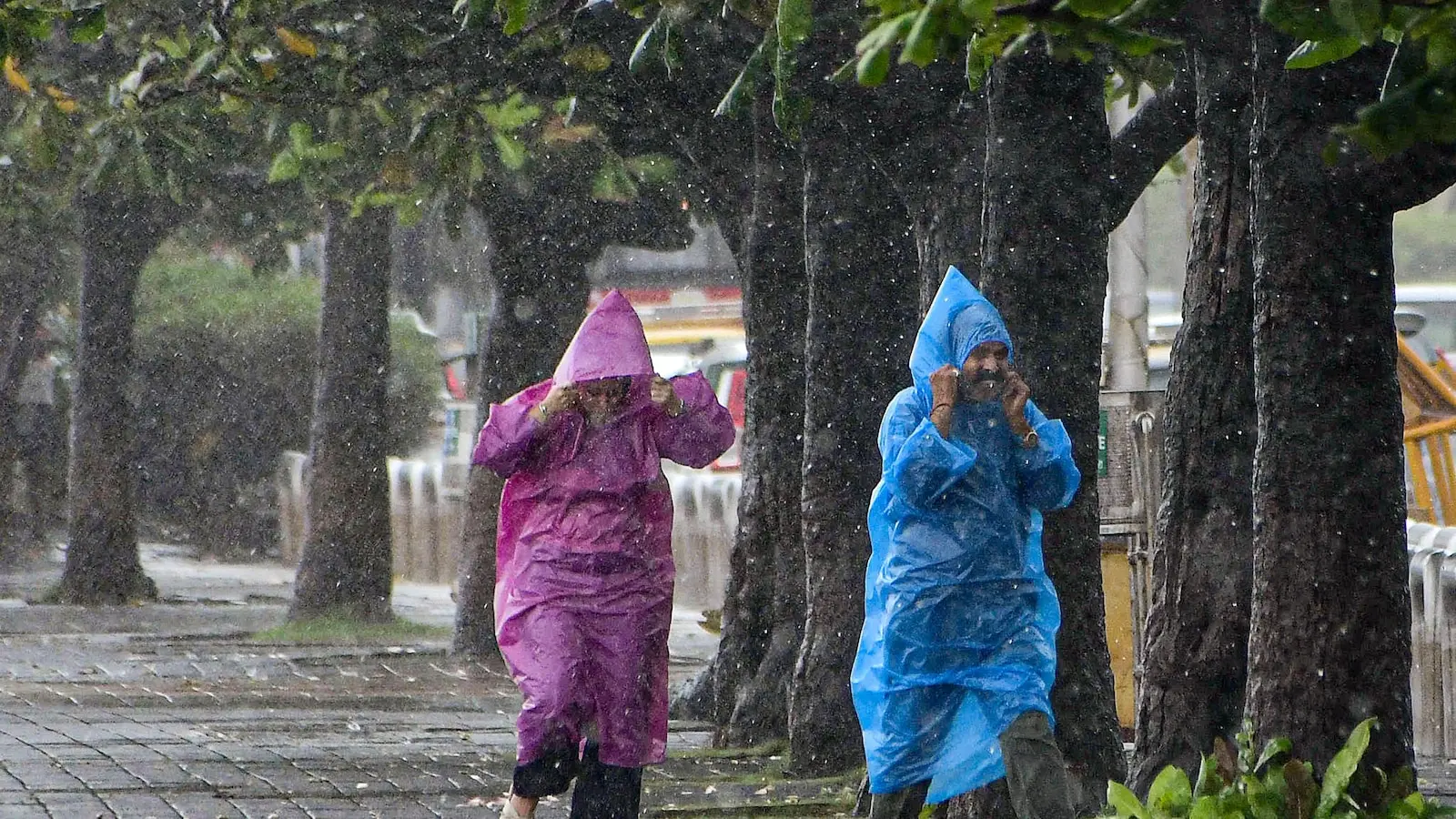 IMD issues three-hour Mumbai thunderstorm alert, flights hit