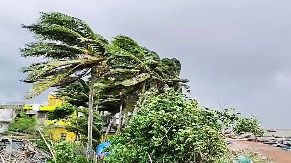 Cyclone Arnab: 8,000 evacuated, heavy rain lashes Odisha