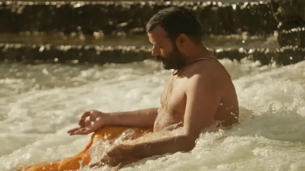 Hanuman Ansh eyes Rs 300 crore after record eighth week