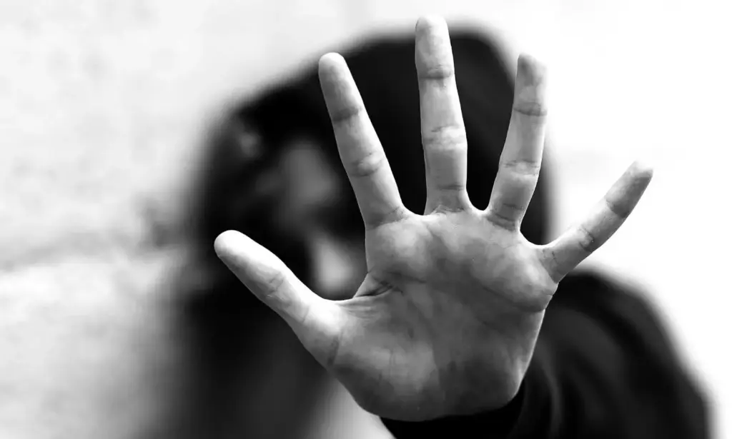 SC: Silence on domestic abuse cannot discredit women