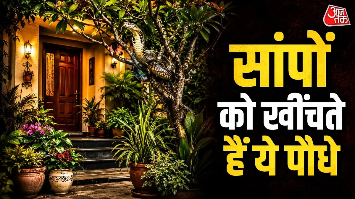 5 plants that attract snakes to your home, tips to stay safe
