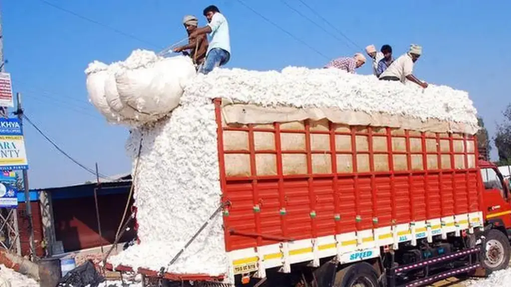 Cotton prices fall Rs 1,200 per candy on global easing, rising arrivals