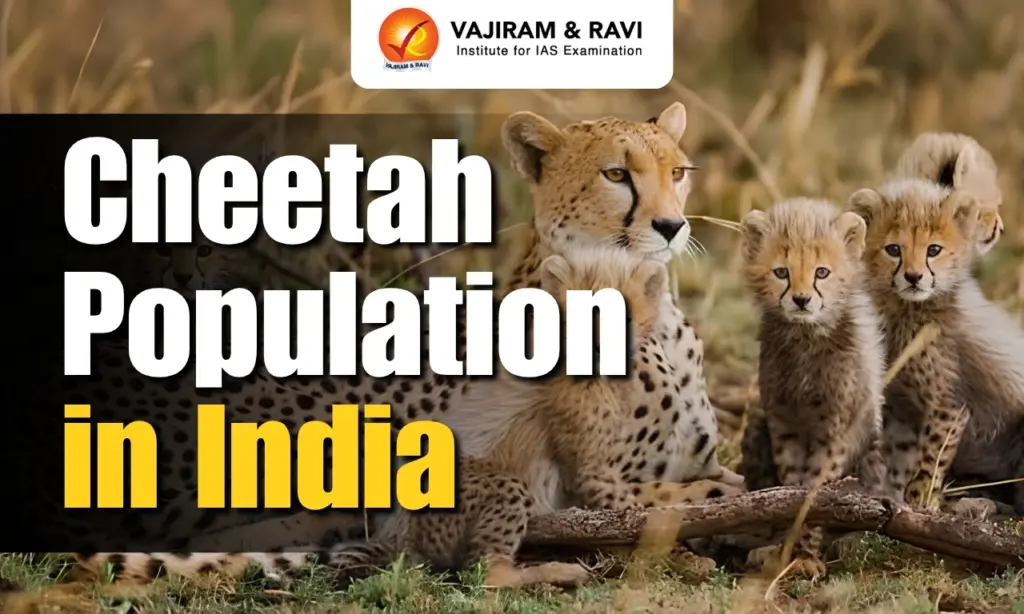 Project Cheetah marks four years with 52 big cats in India