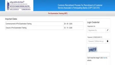 IBPS Clerk 2026 PET link activated at ibps.in until 3 October