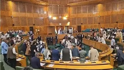 J-K Assembly passes statehood resolution, BJP walks out