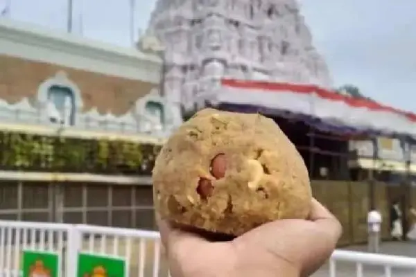 ED arrests ghee supplier in Tirupati adulteration case