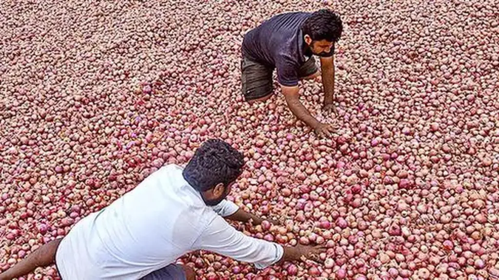 Centre sends onion to West Bengal ahead of festive season