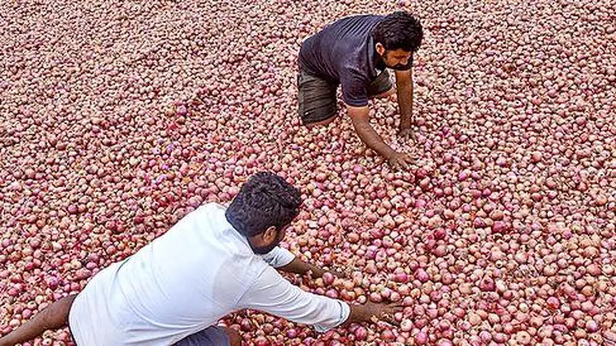 Centre sends onion to West Bengal, expands subsidised sales to small towns
