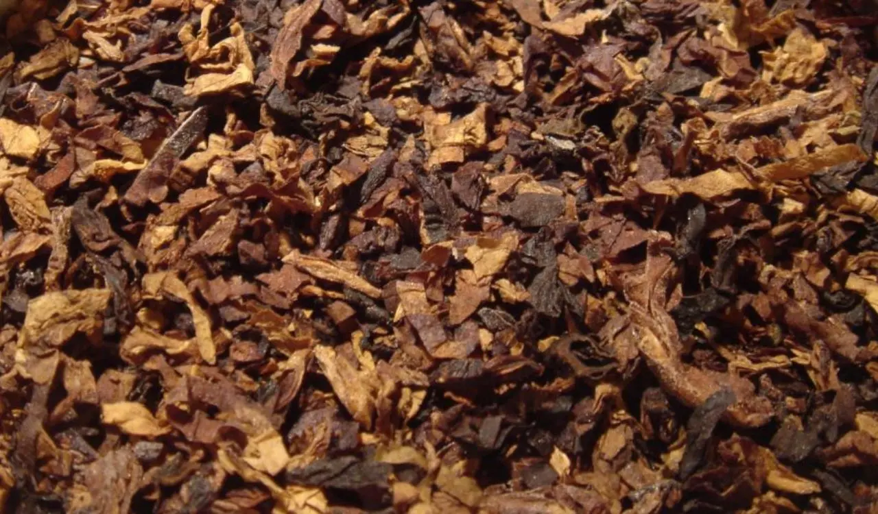 Centre allows excess tobacco sale in Andhra Pradesh for 2025-26