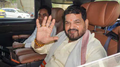 Delhi court to hear wrestlers' appeal against Brij Bhushan acquittal on Monday