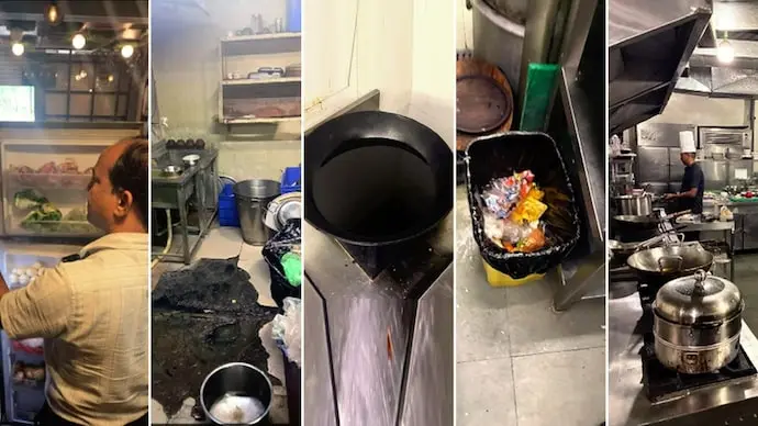 Cockroaches, rotting food found in 4 Bhopal restaurants