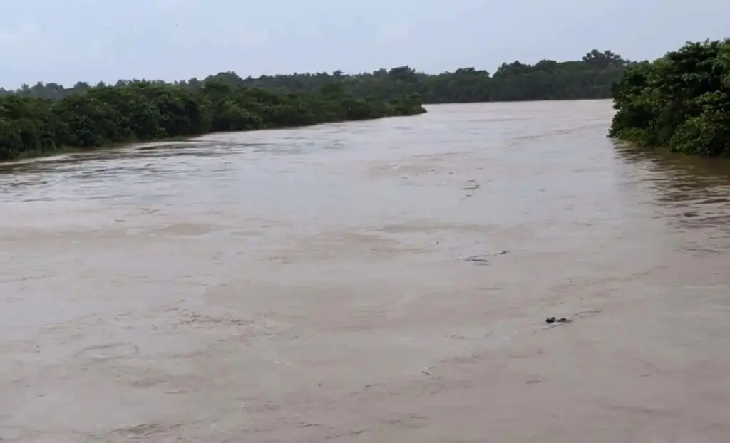 Budhabalanga River swells above danger mark in Odisha's Balasore