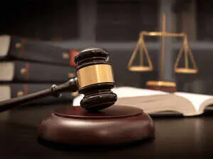 Karnataka HC sets up SIT to probe KPSC veterinary recruitment irregularities