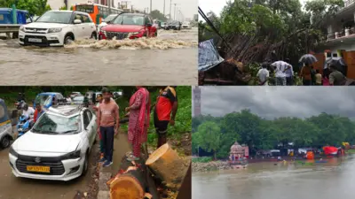 Uttar Pradesh rain disaster kills 81, 775% excess rainfall