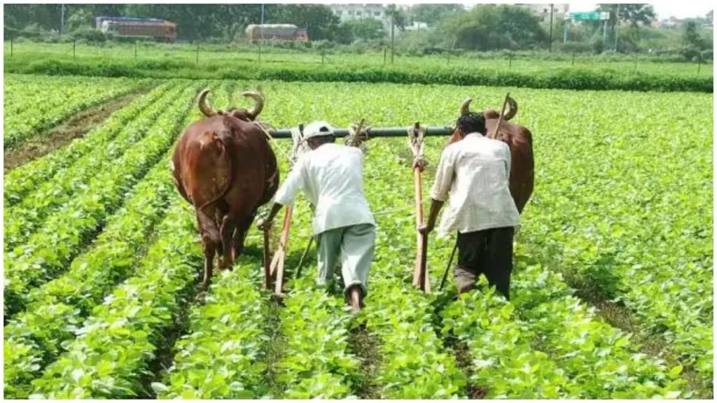 UP farmers get cover under PM Fasal Bima Yojana