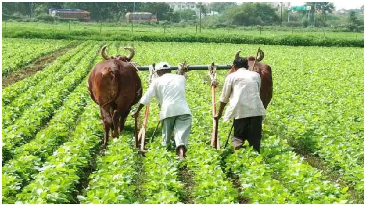 UP farmers get cover under PM Fasal Bima Yojana