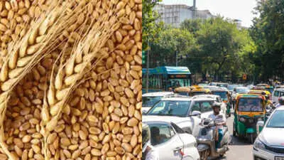 Cabinet hikes wheat MSP by Rs 25 to Rs 2,610 per quintal
