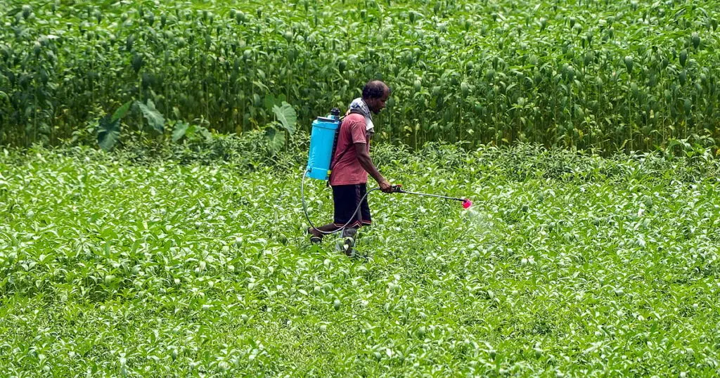 Gujarat registers 63.35 lakh farmers under digital Farmer Registry
