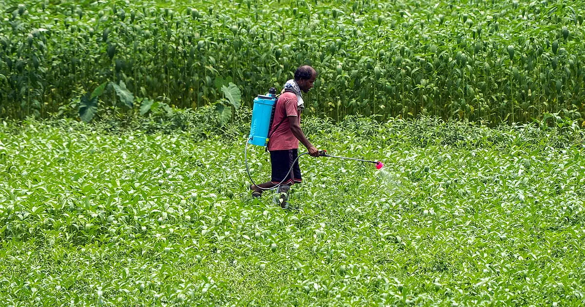 Gujarat registers 63.35 lakh farmers under digital Farmer Registry