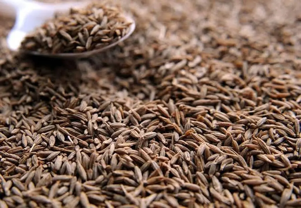 Seed industry urges Centre to recognise private research in Seed Bill
