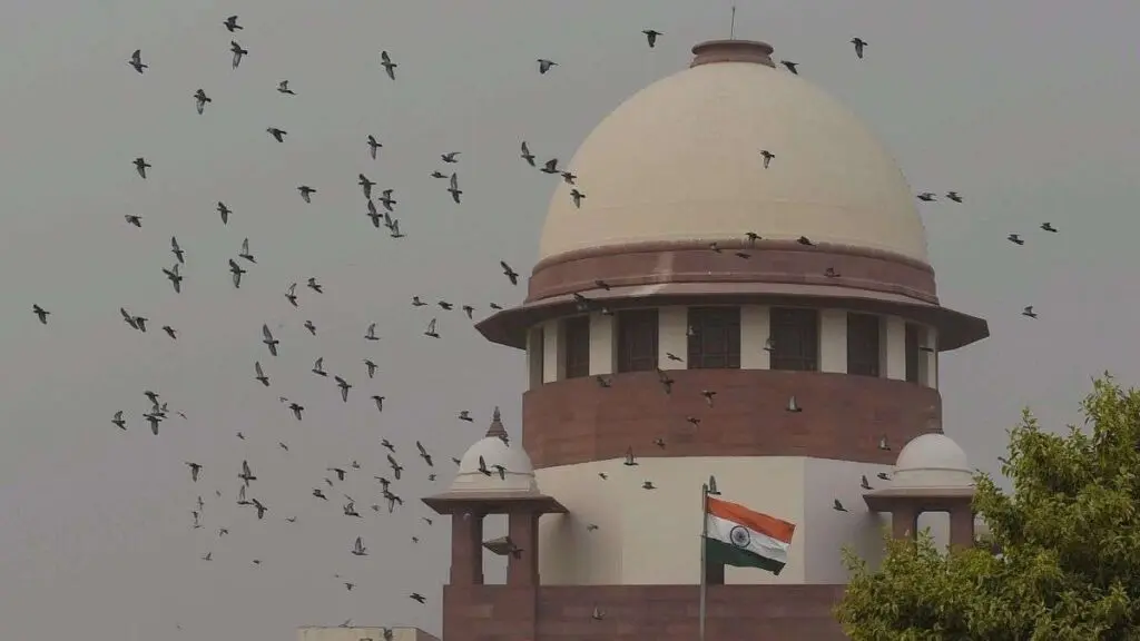 Supreme Court cancels bail in fake Chinese investment app case