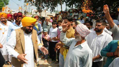 AAP launches 2027 Punjab campaign with welfare pitch