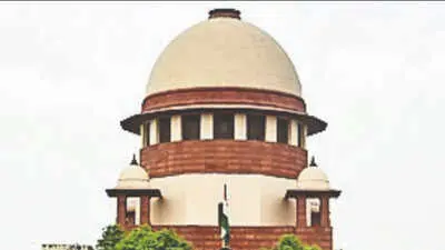 SC says POCSO presumption of guilt not 'gospel truth'